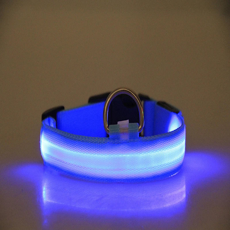 LED Nylon Dog Leash & Collar Set – Glow-in-the-Dark Flashing Pet Gear for Night Safety