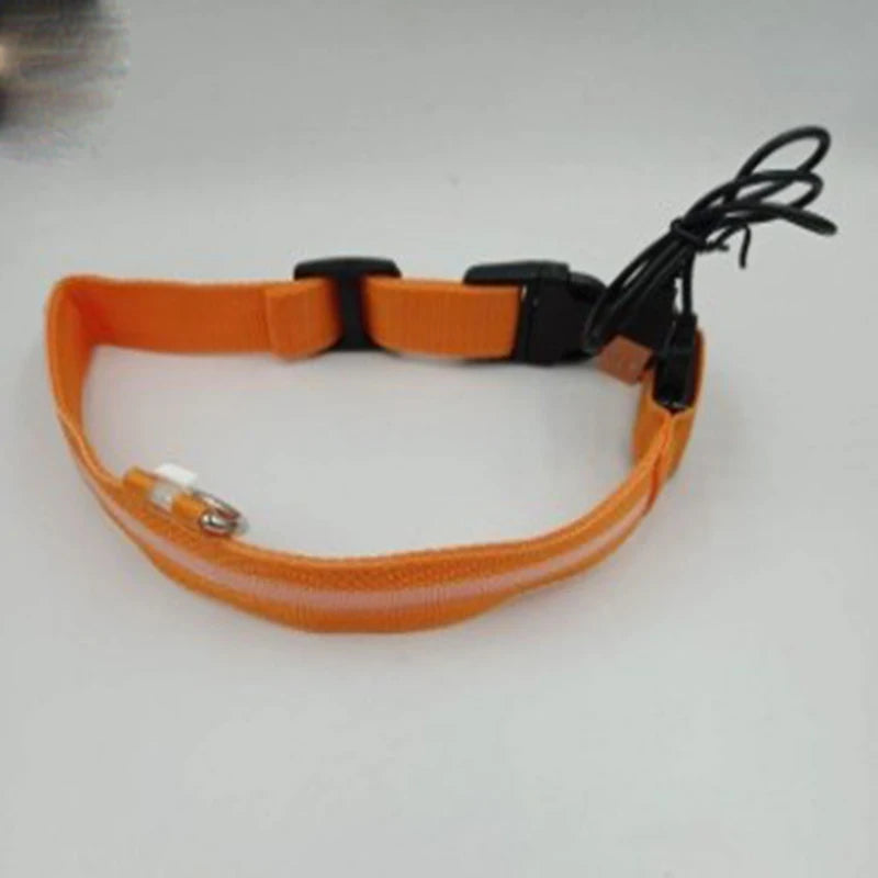 LED Nylon Dog Leash & Collar Set – Glow-in-the-Dark Flashing Pet Gear for Night Safety
