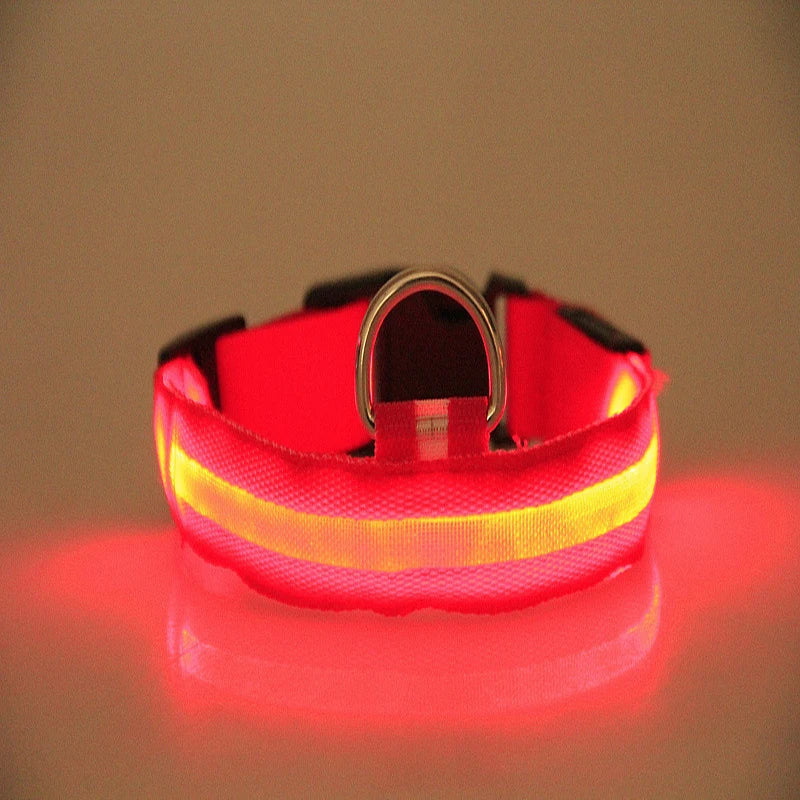 LED Nylon Dog Leash & Collar Set – Glow-in-the-Dark Flashing Pet Gear for Night Safety