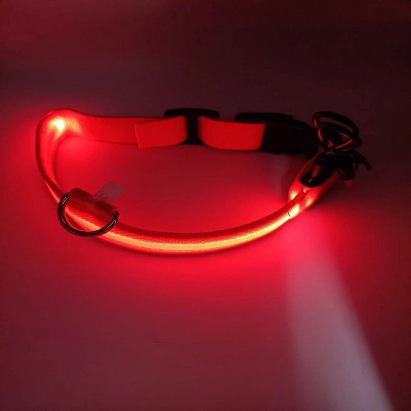 LED Nylon Dog Leash & Collar Set – Glow-in-the-Dark Flashing Pet Gear for Night Safety