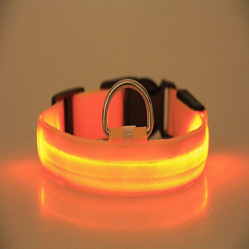 LED Nylon Dog Leash & Collar Set – Glow-in-the-Dark Flashing Pet Gear for Night Safety
