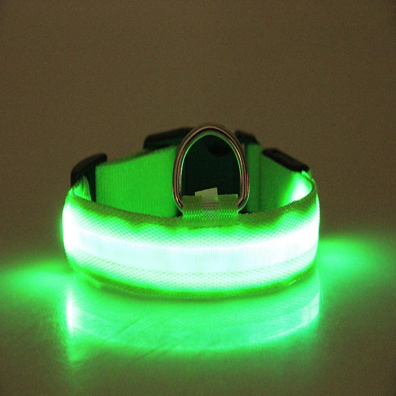 LED Nylon Dog Leash & Collar Set – Glow-in-the-Dark Flashing Pet Gear for Night Safety