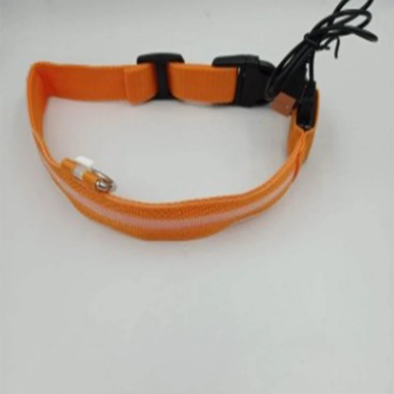 LED Nylon Dog Leash & Collar Set – Glow-in-the-Dark Flashing Pet Gear for Night Safety