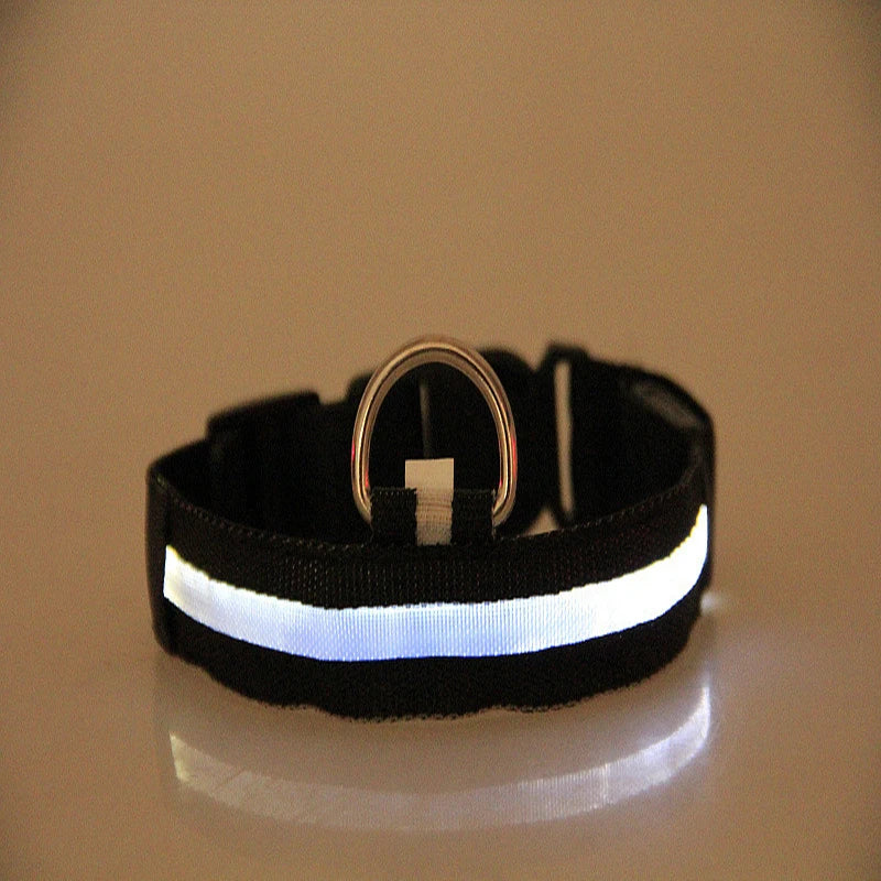 LED Nylon Dog Leash & Collar Set – Glow-in-the-Dark Flashing Pet Gear for Night Safety