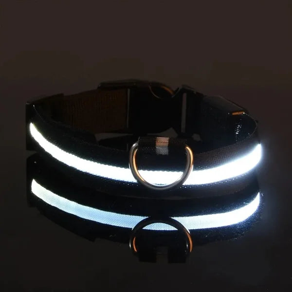 LED Nylon Dog Leash & Collar Set – Glow-in-the-Dark Flashing Pet Gear for Night Safety